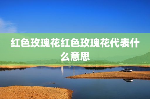 红色玫瑰花红色玫瑰花代表什么意思