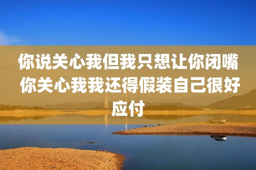 你说关心我但我只想让你闭嘴 你关心我我还得假装自己很好应付