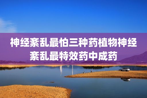 神经紊乱最怕三种药植物神经紊乱最特效药中成药
