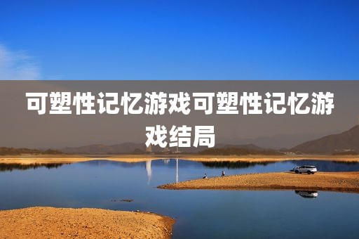可塑性记忆游戏可塑性记忆游戏结局
