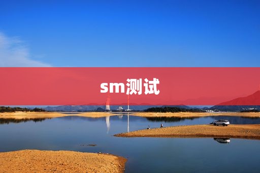 sm测试