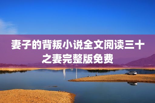 妻子的背叛小说全文阅读三十之妻完整版免费