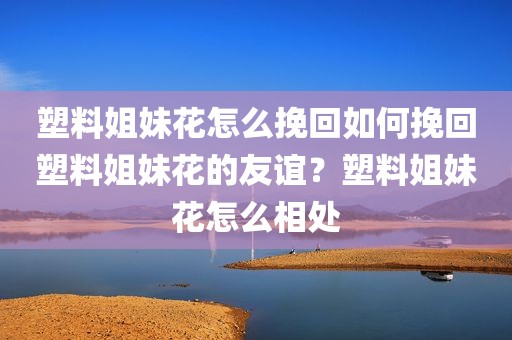 塑料姐妹花怎么挽回如何挽回塑料姐妹花的友谊？塑料姐妹花怎么相处