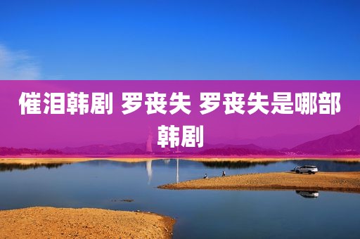 催泪韩剧 罗丧失 罗丧失是哪部韩剧