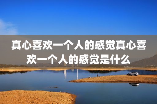 真心喜欢一个人的感觉真心喜欢一个人的感觉是什么