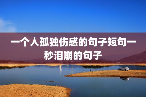 一个人孤独伤感的句子短句一秒泪崩的句子