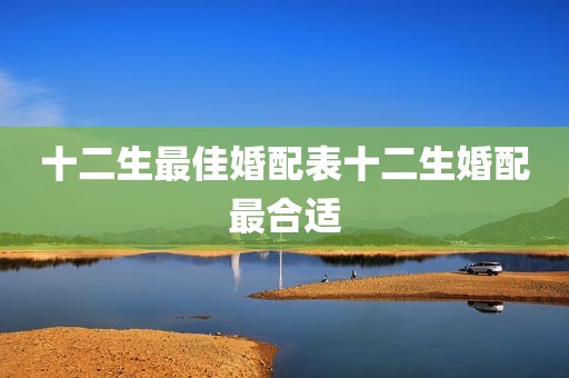 十二生最佳婚配表十二生婚配最合适