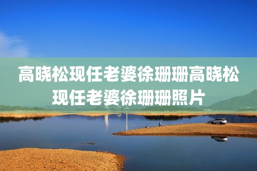 高晓松现任老婆徐珊珊高晓松现任老婆徐珊珊照片