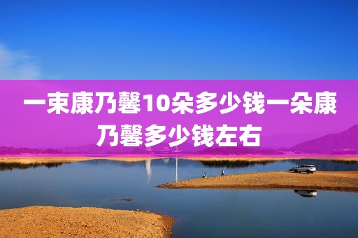 一束康乃馨10朵多少钱一朵康乃馨多少钱左右