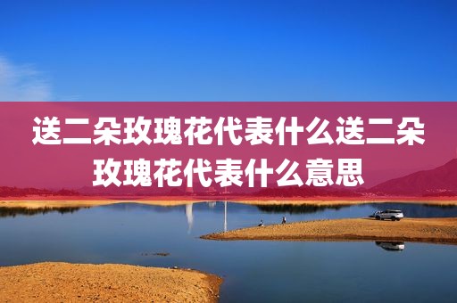送二朵玫瑰花代表什么送二朵玫瑰花代表什么意思