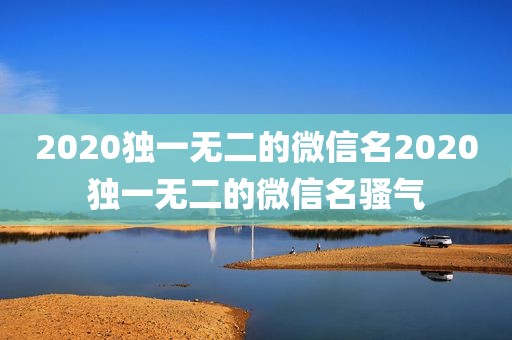 2020独一无二的微信名2020独一无二的微信名骚气