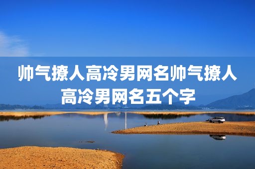 帅气撩人高冷男网名帅气撩人高冷男网名五个字
