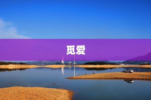 觅爱