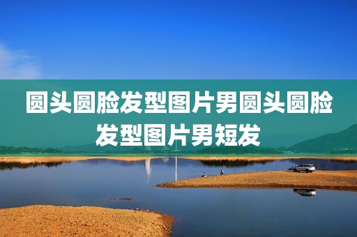 圆头圆脸发型图片男圆头圆脸发型图片男短发