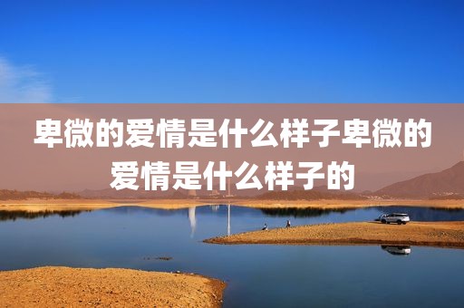 卑微的爱情是什么样子卑微的爱情是什么样子的