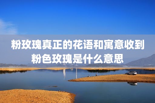 粉玫瑰真正的花语和寓意收到粉色玫瑰是什么意思