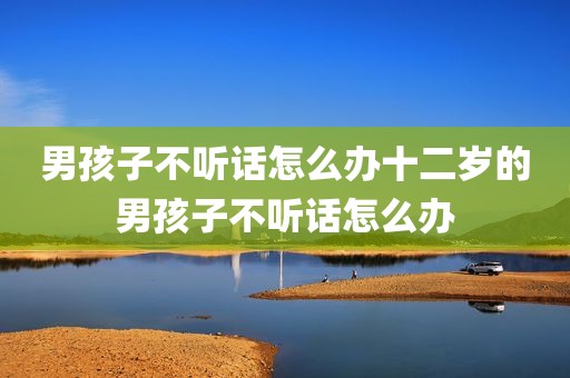 男孩子不听话怎么办十二岁的男孩子不听话怎么办
