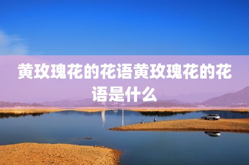 黄玫瑰花的花语黄玫瑰花的花语是什么