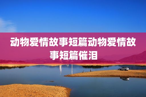 动物爱情故事短篇动物爱情故事短篇催泪