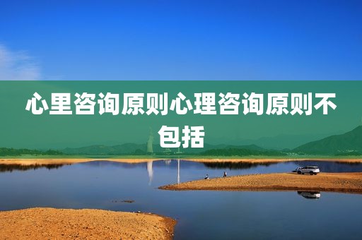 心里咨询原则心理咨询原则不包括