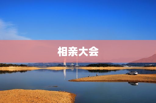 相亲大会