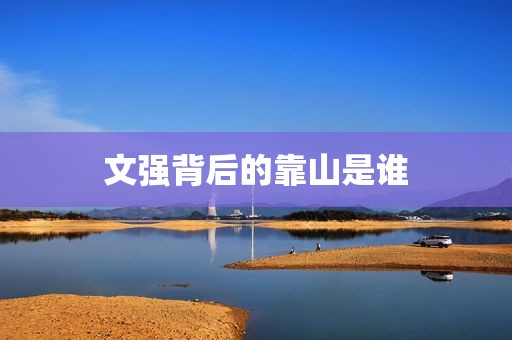 文强背后的靠山是谁