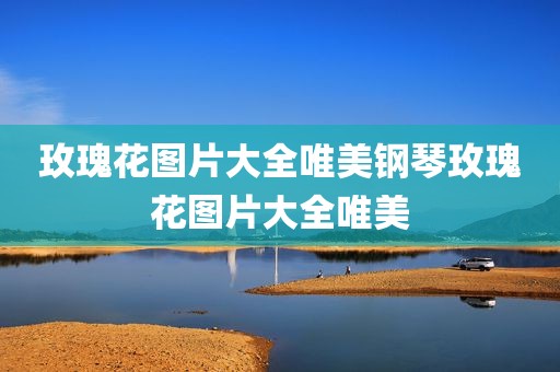 玫瑰花图片大全唯美钢琴玫瑰花图片大全唯美