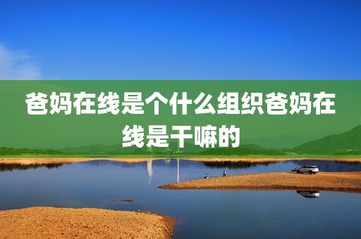 爸妈在线是个什么组织爸妈在线是干嘛的