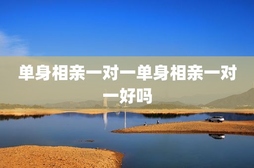 单身相亲一对一单身相亲一对一好吗