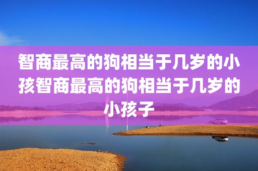 智商最高的狗相当于几岁的小孩智商最高的狗相当于几岁的小孩子