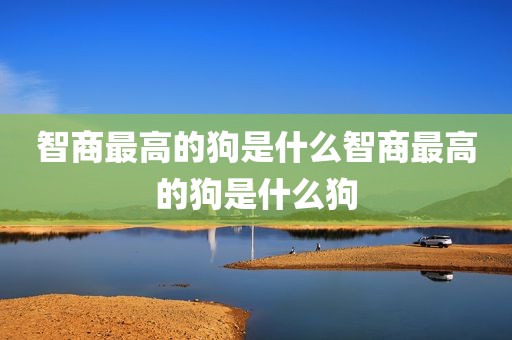 智商最高的狗是什么智商最高的狗是什么狗