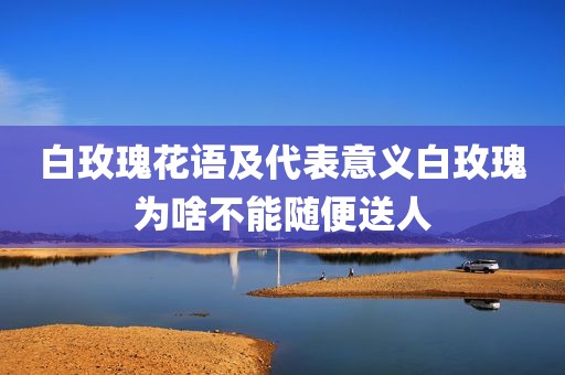 白玫瑰花语及代表意义白玫瑰为啥不能随便送人