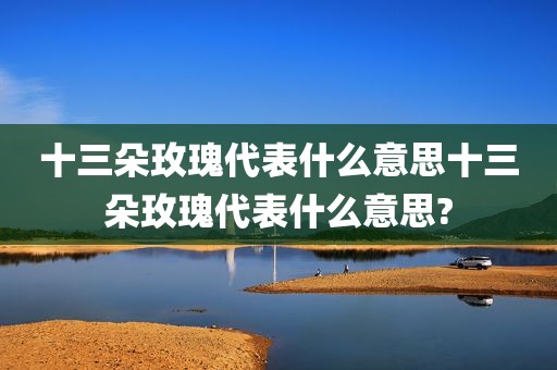 十三朵玫瑰代表什么意思十三朵玫瑰代表什么意思?