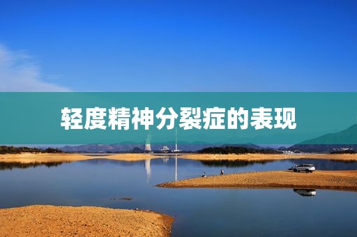 轻度精神分裂症的表现