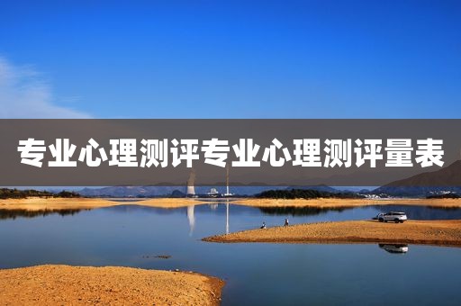 专业心理测评专业心理测评量表