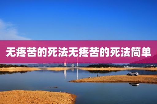 无疼苦的死法无疼苦的死法简单