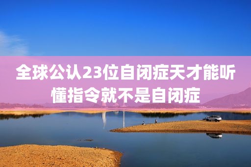 全球公认23位自闭症天才能听懂指令就不是自闭症