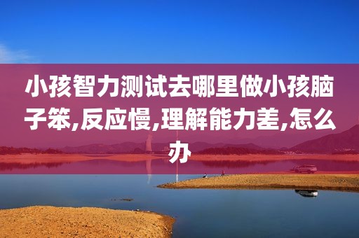 小孩智力测试去哪里做小孩脑子笨,反应慢,理解能力差,怎么办