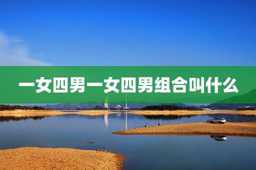 一女四男一女四男组合叫什么