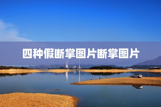 四种假断掌图片断掌图片