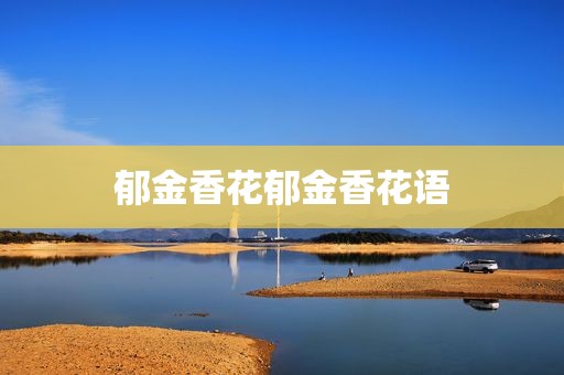 郁金香花郁金香花语