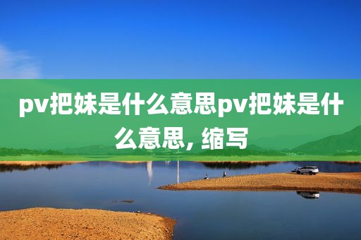 pv把妹是什么意思pv把妹是什么意思, 缩写