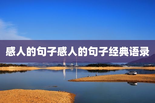 感人的句子感人的句子经典语录