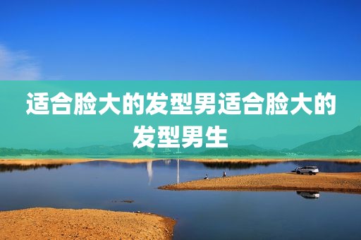适合脸大的发型男适合脸大的发型男生