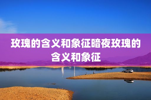 玫瑰的含义和象征暗夜玫瑰的含义和象征