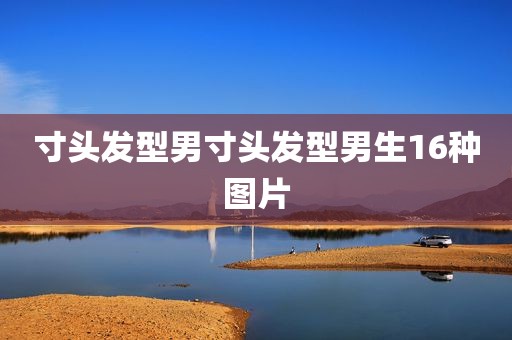 寸头发型男寸头发型男生16种图片
