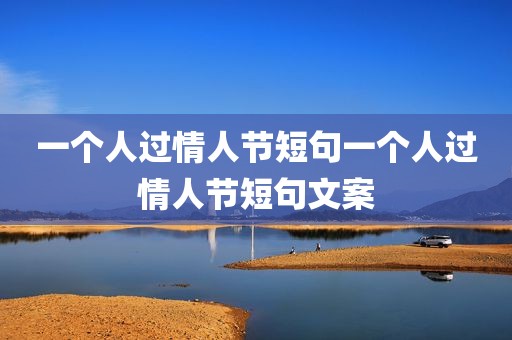 一个人过情人节短句一个人过情人节短句文案