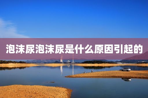 泡沫尿泡沫尿是什么原因引起的