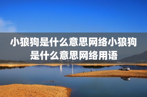 小狼狗是什么意思网络小狼狗是什么意思网络用语