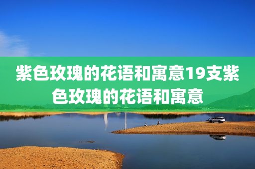 紫色玫瑰的花语和寓意19支紫色玫瑰的花语和寓意